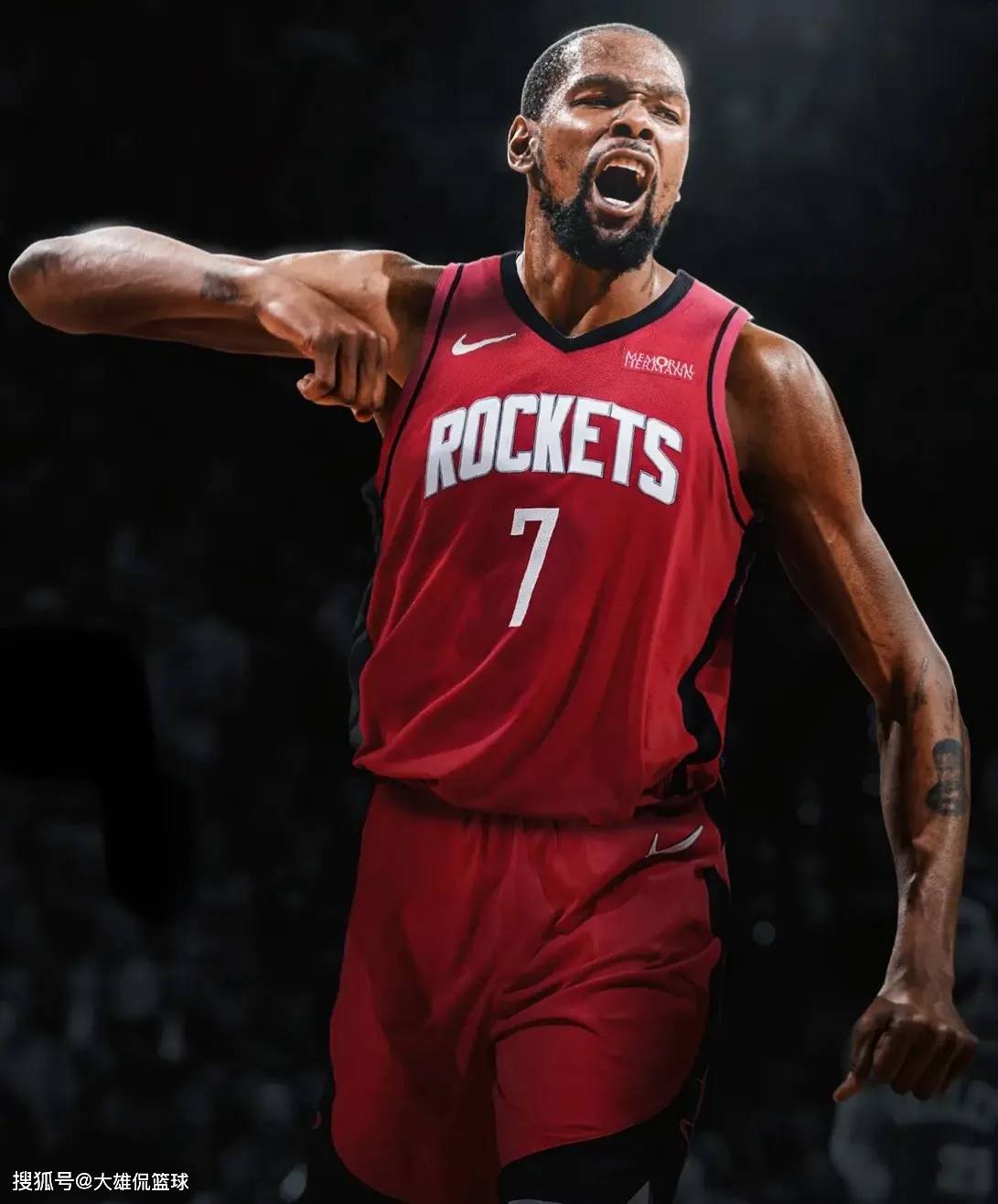 灵动的鸟儿 灵动的鸟儿